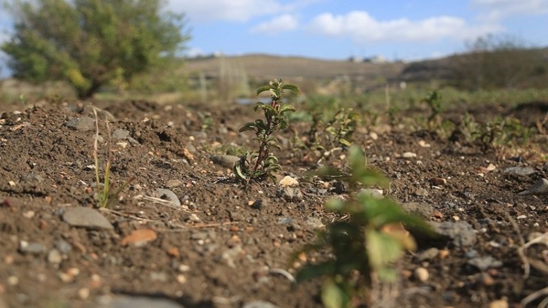 Nov 17 2025 11 20251114 2 71643439 119176659