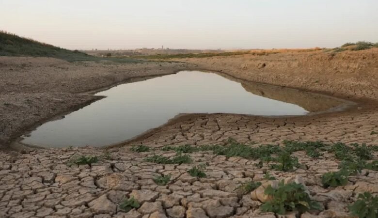 أسوأ موجة جفاف في سوريا تهدد بانعدام الأمن الغذائي