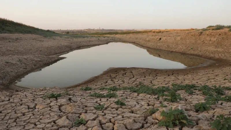 Pic 887743 1764182456