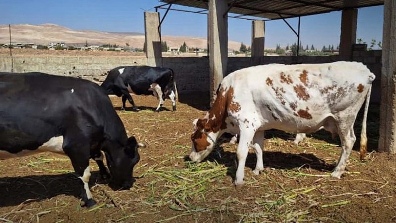 photo 2025 10 28 12 08 59 860x573 1