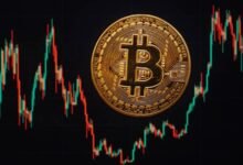 انهيار العملات المشفرة.. يعزز الابتكار في استراتيجيات الاستثمار
