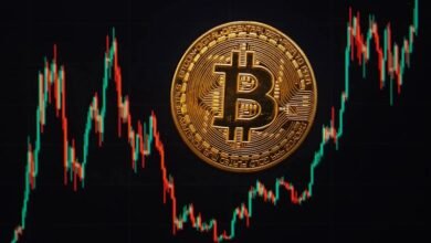انهيار العملات المشفرة.. يعزز الابتكار في استراتيجيات الاستثمار