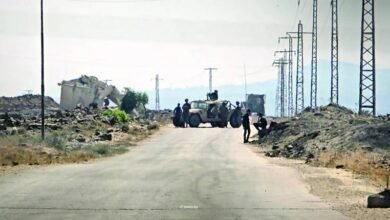 الجيش الإسرائيلي يعتقل سوريين يجمعون «الفطر» في الجنوب 14 الجيش الإسرائيلي يعتقل سوريين يجمعون «الفطر» في الجنوب