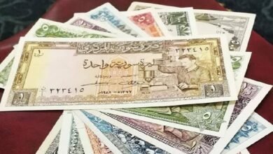 العملة السورية.. ذاكرة وطنيّة بين الرمز والهويّة 13 العملة السورية.. ذاكرة وطنيّة بين الرمز والهويّة