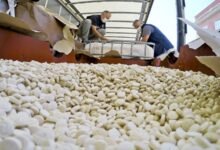 ضبط 500 ألف حبة كبتاغون وكمية من المخدرات في دمشق 16 ضبط 500 ألف حبة كبتاغون وكمية من المخدرات في دمشق