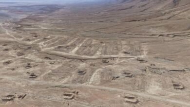 «مقبرة الضمير» الجماعية تهز سوريا.. والسلطات تفتح تحقيقاً 13 «مقبرة الضمير» الجماعية تهز سوريا.. والسلطات تفتح تحقيقاً
