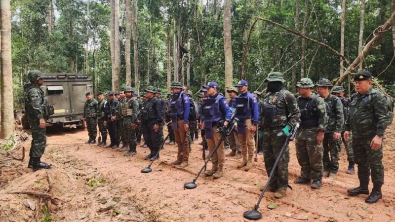 ضحايا الألغام الأرضية عند أعلى مستوى في 4 سنوات 2 ap 692d983572a27 1764595765