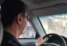 الأسد عن اسم عائلته: يجب تغييره باسم حيوان آخر! 17 الأسد عن اسم عائلته: يجب تغييره باسم حيوان آخر!