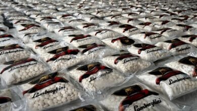 إحباط تهريب 400 ألف حبة كبتاغون من لبنان إلى سوريا 14 إحباط تهريب 400 ألف حبة كبتاغون من لبنان إلى سوريا
