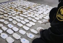 بعملية سورية عراقية.. إحباط تهريب 57 كغ مخدرات