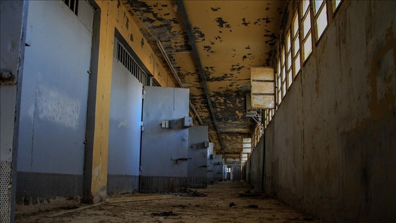 thumbs b c c95bb493da2934c56c4681ecafb8a786