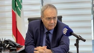 لبنان: ما يتم تداوله عن تحركات أنصار نظام البعث يدعو للقلق