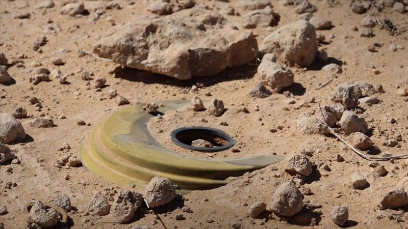 thumbs b c bf8fdd85a80397bebb23d6ec2b8a2019