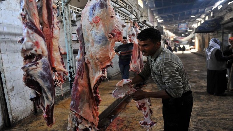 C1C737F9 A8DD 4C08 BDC0 A049475B2DB4