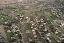 الجزيرة السورية.. خزان استراتيجي لدعم الأمن الغذائي 17 الجزيرة السورية.. خزان استراتيجي لدعم الأمن الغذائي