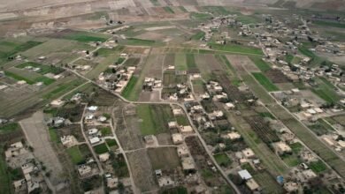 الجزيرة السورية.. خزان استراتيجي لدعم الأمن الغذائي 13 DJI 0592 scaled 1