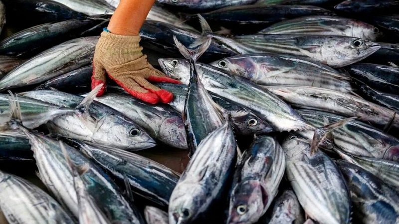 IMG ٢٠٢٦٠٢١٤ ١٦٠٦٤١ 1024x683 1