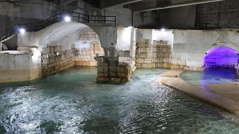 photo 2026 02 02 22 05 18 1024x683 1