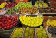 الفواكه الاستوائية في سوريا.. زراعة واعدة تبحث عن دعم