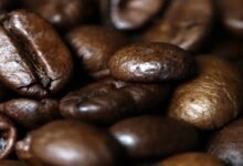 كيف يؤثر تناول الكافيين على طريقة عمل الدماغ؟