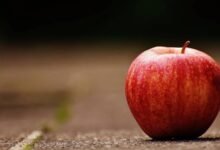 تفاحة كل يوم… كيف تؤثر على صحتك؟ 12 تفاحة كل يوم… كيف تؤثر على صحتك؟