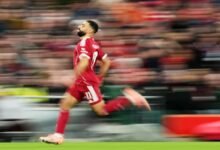 محمد صلاح… أرقام خالدة في تاريخ ليفربول و«البريمرليغ» 16 محمد صلاح… أرقام خالدة في تاريخ ليفربول و«البريمرليغ»