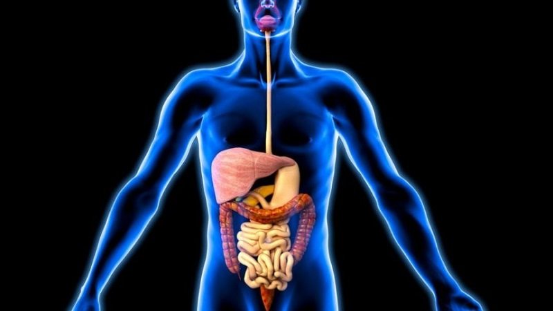 photo 2026 03 22 14 14 18 860x484 1