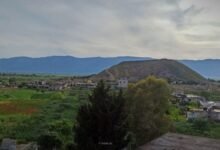 قسطون.. ذاكرة العاصي في سهل الغاب