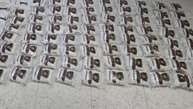 إحباط محاولة تهريب كمية من الكبتاغون قادمة من لبنان 15 إحباط محاولة تهريب كمية من الكبتاغون قادمة من لبنان