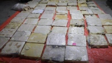 عملية سورية - أردنية مشتركة تحبط محاولة لتهريب المخدرات