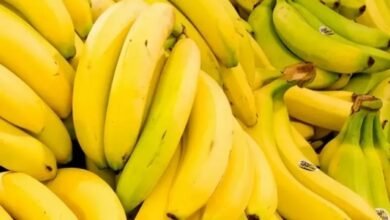 ماذا يحدث لجسمك عند تناول موزتين يومياً؟ 12 ماذا يحدث لجسمك عند تناول موزتين يومياً؟