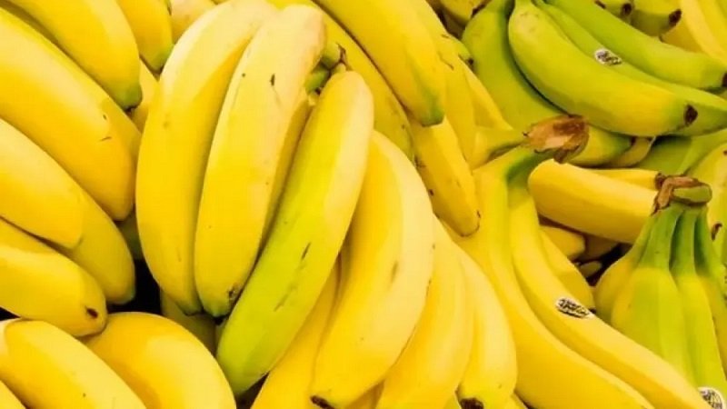 ماذا يحدث لجسمك عند تناول موزتين يومياً؟ 2 7807881