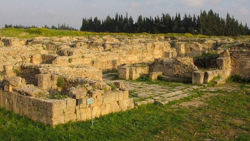 ougarit tetiere2 1024x471 1