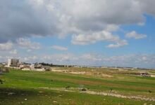 ريف حلب الشمالي.. أراضٍ مهملة وانعكاسات اقتصادية واسعة 12 ريف حلب الشمالي.. أراضٍ مهملة وانعكاسات اقتصادية واسعة