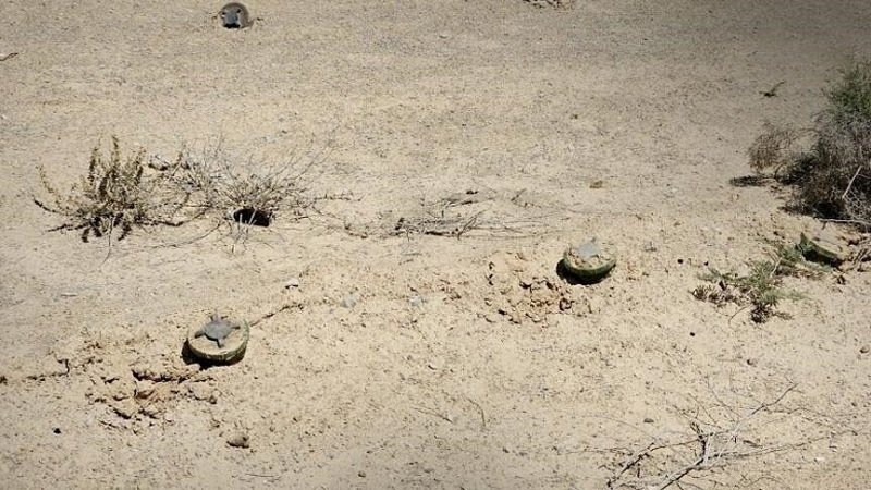 thumbs b c ec529bbc2c0cf3d1093e6e8b356c0aea