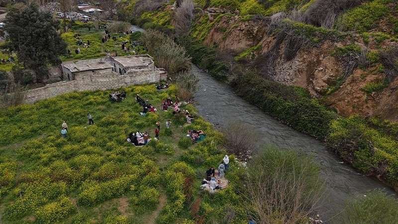 thumbs b c ffa7c699c1284c1e7ae4e696d0b31676