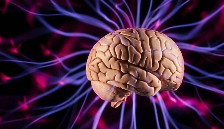 معالجة اللغة بالدماغ تترسّخ في سن الرابعة