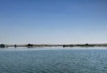 بعد إغلاق البوابة الرابعة.. منسوب نهر الفرات ينخفض 60 سم خلال 24 ساعة 5 The Euphrates River in Raqqa 1