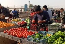 كيف يفاوض المواطن يومه؟