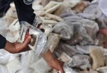 الهند تعلن إحباط تهريب 227 كغ من الكبتاغون قادمة من سوريا