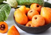 الأكيدنيا.. فاكهة ربيعية محببة لدى السوريين 12 الأكيدنيا.. فاكهة ربيعية محببة لدى السوريين