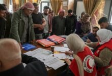 فرحة أكراد سوريا بقرار التجنيس: أخيراً أصبحنا مواطنين