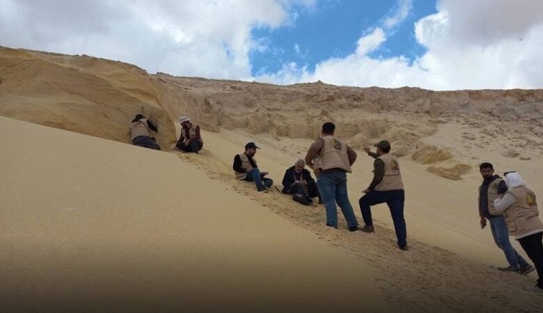 رمال السيليكا في سوريا.. خام واعد يدعم الصناعات التحويلية 1 رمال السيليكا في سوريا.. خام واعد يدعم الصناعات التحويلية