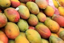 ما الفواكه الأكثر احتواءً على السكر؟