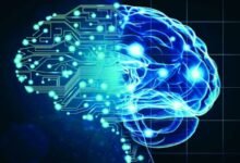 تقنية جديدة تتيح للآلات تعلّم التفضيلات البشرية 2 تقنية جديدة تتيح للآلات تعلّم التفضيلات البشرية