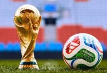 فيتنام تفكك شبكتي مراهنات على كأس العالم بقيمة 133 مليون دولار 6 فيتنام تفكك شبكتي مراهنات على كأس العالم بقيمة 133 مليون دولار