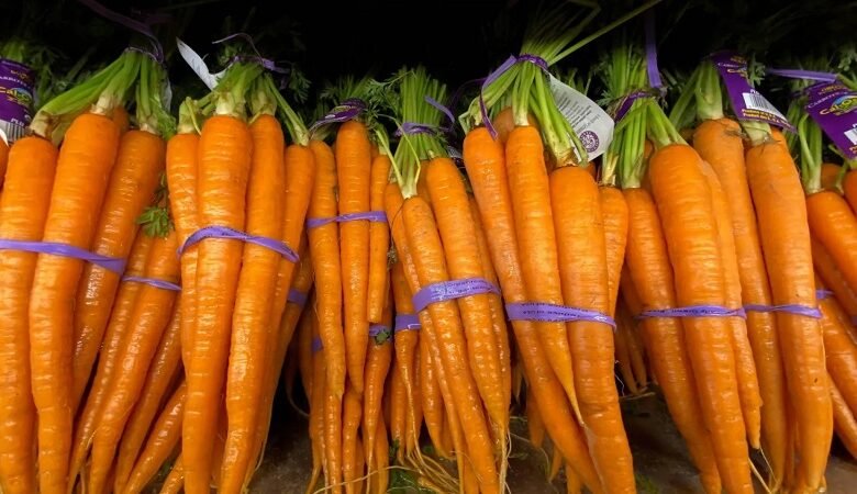 الجزر... فوائد صحية مدهشة تتجاوز صحة العين 1 الجزر... فوائد صحية مدهشة تتجاوز صحة العين