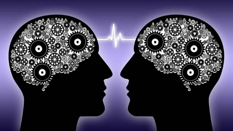 8 عادات بسيطة لحماية الذاكرة وصحة الدماغ 2 8 عادات بسيطة لحماية الذاكرة وصحة الدماغ