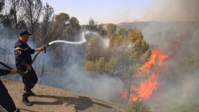 الجزائر تسجل 73 وفاة جراء حرائق الغابات