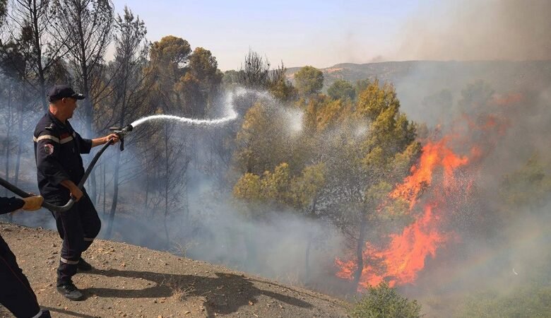 الجزائر تسجل 73 وفاة جراء حرائق الغابات
